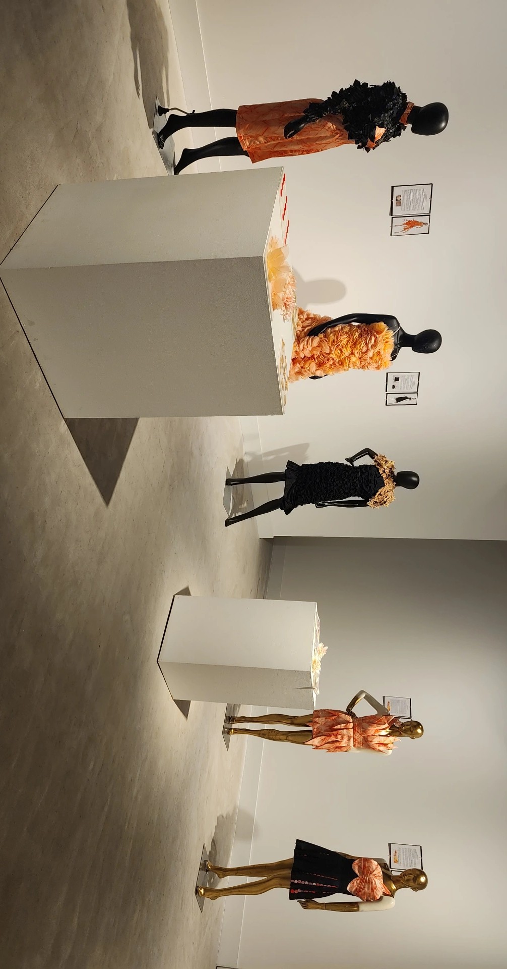 MFA exhibition â€” image 4